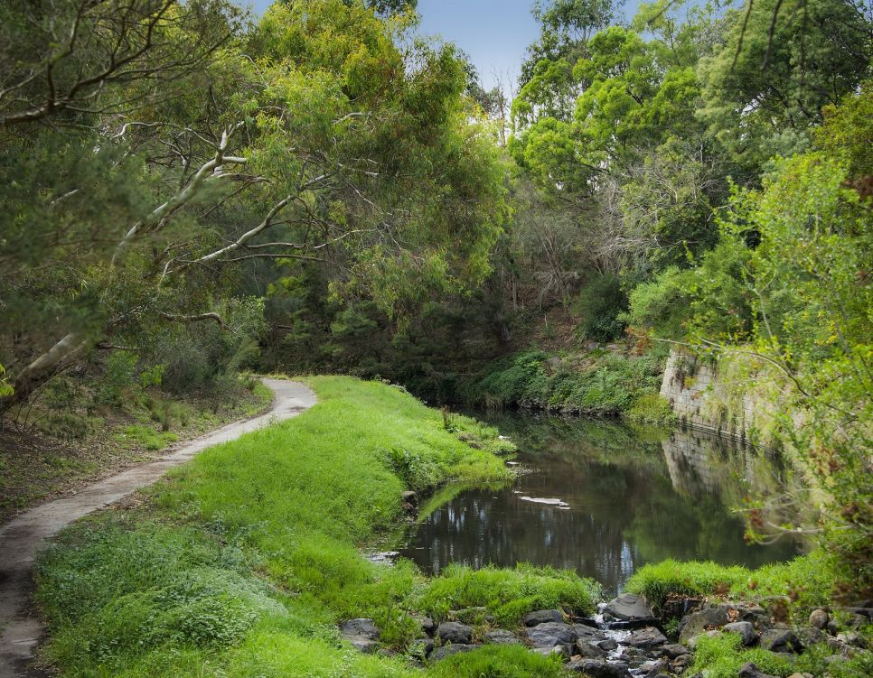 Ferndale Park trail and Back Creek, Glen Iris